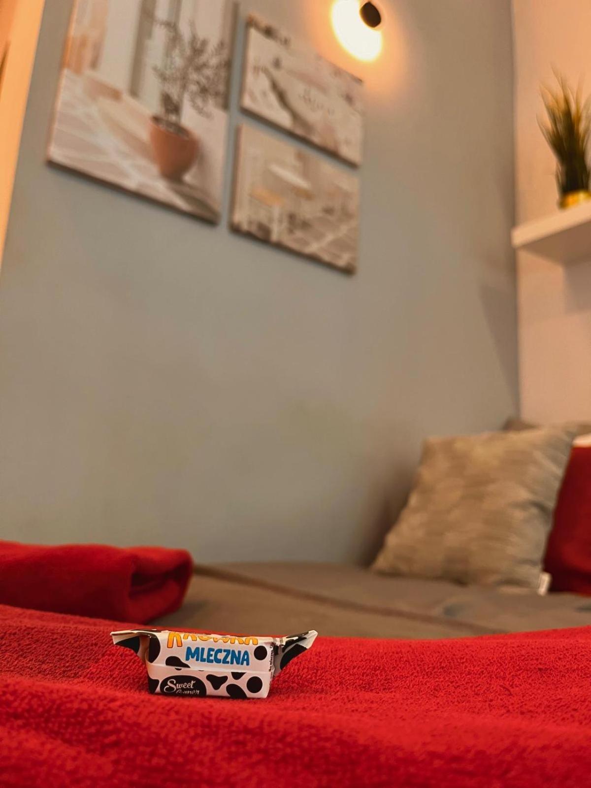 Super 1 Bed In Center Varsovia